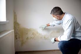 Mold Remediation for Vacation Homes in Asheville, NC